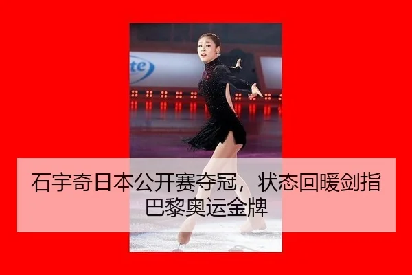 shi-yu-qi-ri-ben-gong-kai-sai-duo-guan-zhuang-tai-hui-nuan-jian-zhi-ba-li-ao-yun-jin-pai-3-416.jpg