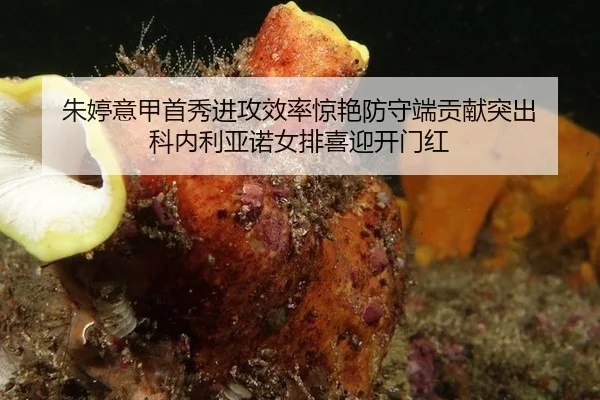 zhu-ting-yi-jia-shou-xiu-jin-gong-xiao-lv-jing-yan-fang-shou-duan-gong-xian-tu-chu-ke-nei-li-ya-nuo-nv-pai-xi-ying-kai-2-863.jpg