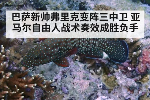 巴萨新帅弗里克变阵三中卫 亚马尔自由人战术奏效成胜负手
